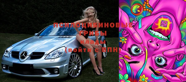 ГАЛЛЮЦИНОГЕННЫЕ ГРИБЫ Новокубанск
