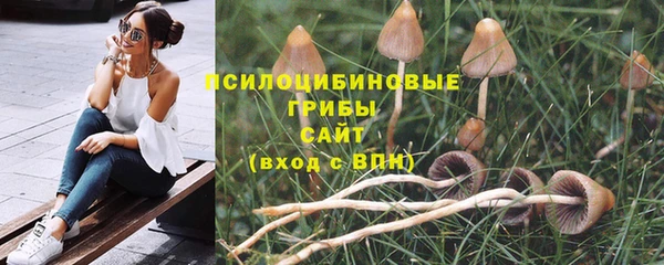 ПСИЛОЦИБИНОВЫЕ ГРИБЫ Бежецк