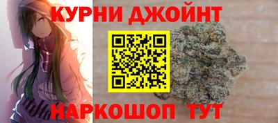 индика Ирбит