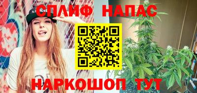 индика Ирбит