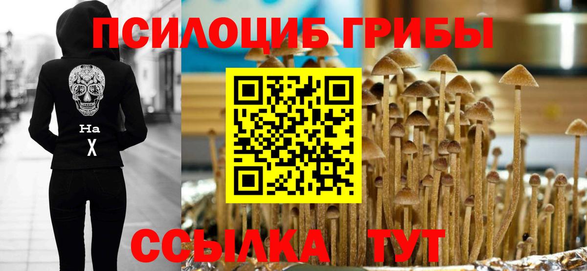 Псилоцибиновые грибы прущие грибы  Галлюциногенные грибы ЛСД  Вход с VPN  Кореновск 